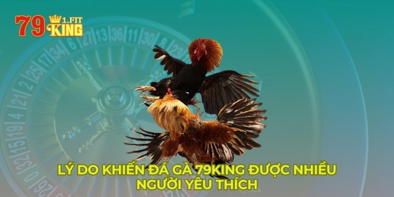 Lý do khiến đá gà 79KING được nhiều người yêu thích