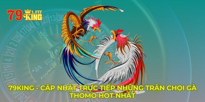 79KING - Cập nhật trực tiếp những trận chọi gà Thomo hot nhất