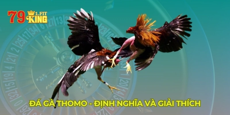 Đá gà Thomo - Định nghĩa và giải thích