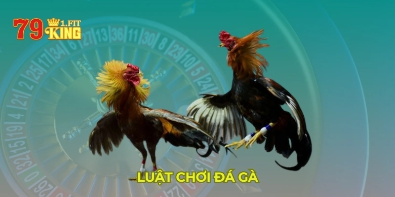 Luật chơi đá gà