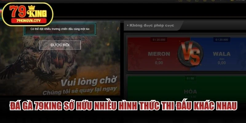 Đá gà 79KING sở hữu nhiều hình thức thi đấu khác nhau